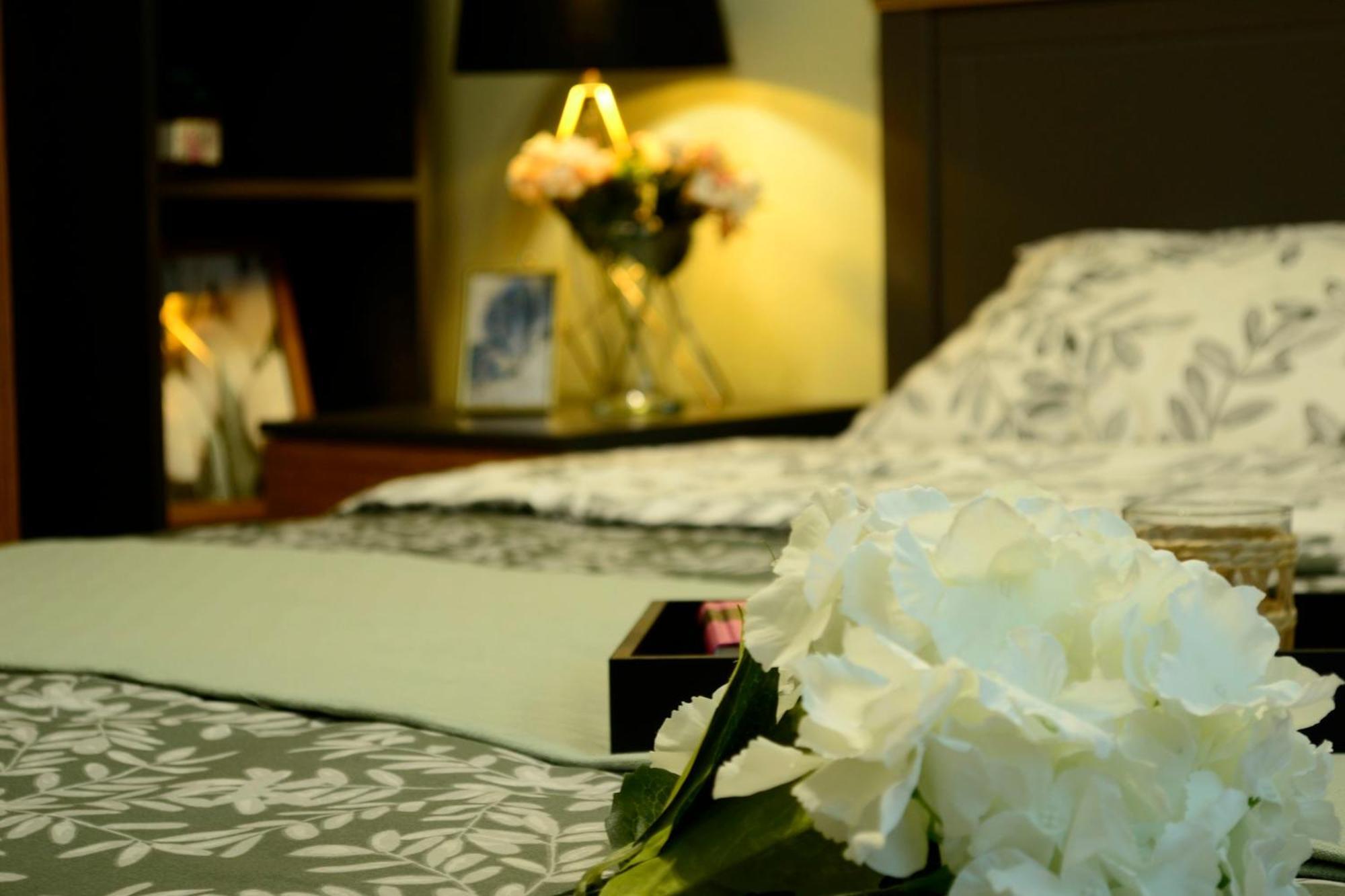 Apartment Cozy 2 Drumul Taberei